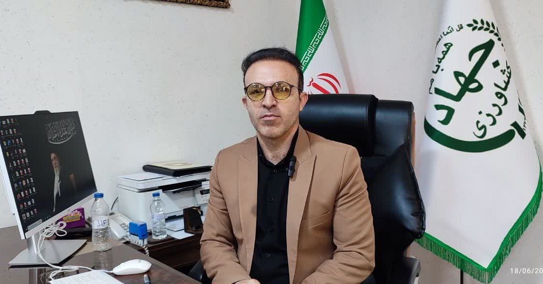 ازنا تأمین‌کننده یک‌چهارم گندم سالانه لرستان